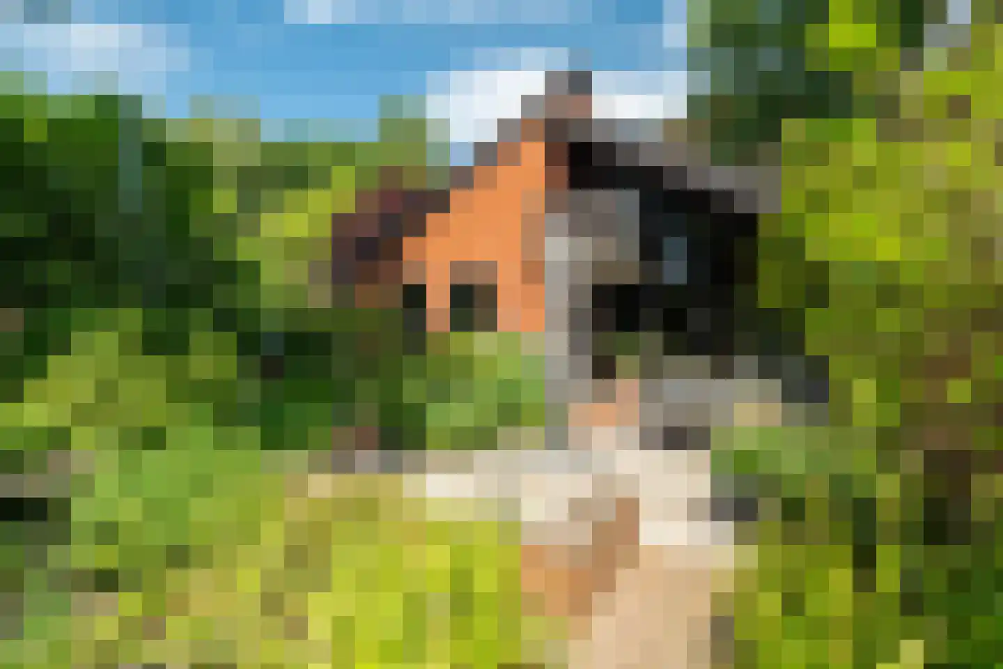 Ruitenkamp 5 Ter Apel thumbnail 78