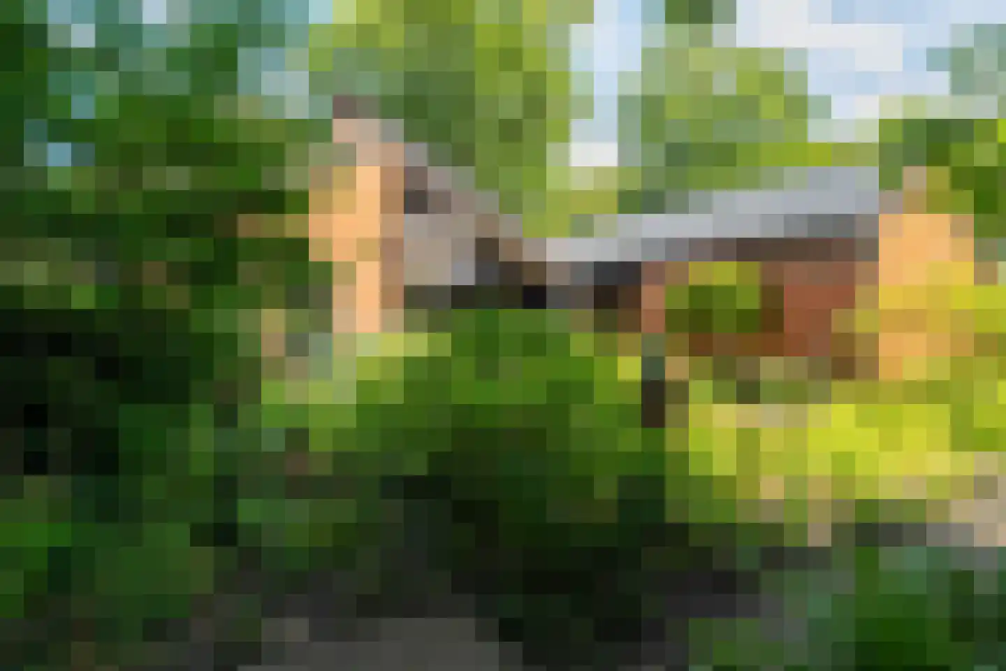 Ruitenkamp 5 Ter Apel thumbnail 79