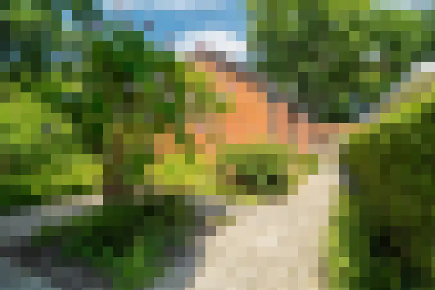 Ruitenkamp 5 Ter Apel thumbnail 80