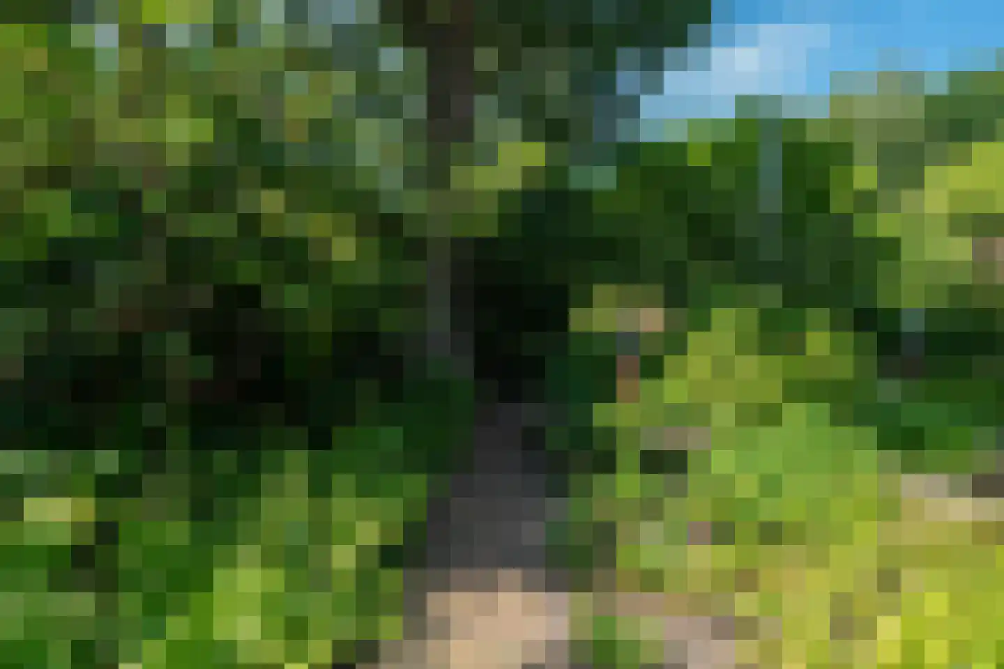 Ruitenkamp 5 Ter Apel thumbnail 81