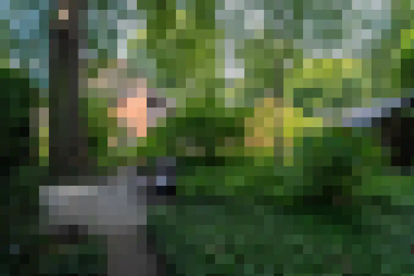 Ruitenkamp 5 Ter Apel thumbnail 86
