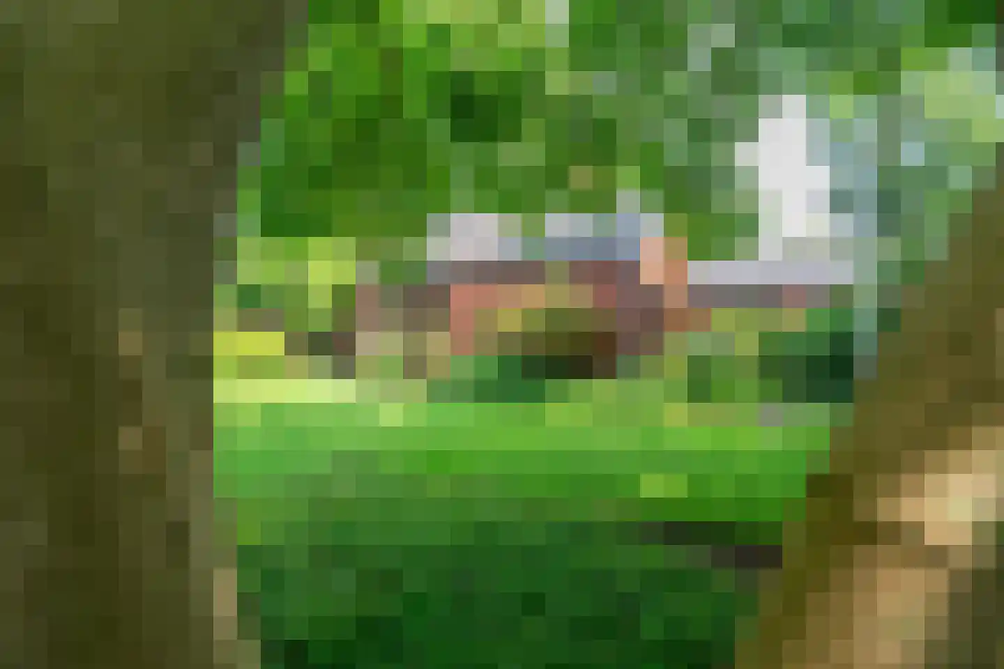 Ruitenkamp 5 Ter Apel thumbnail 92