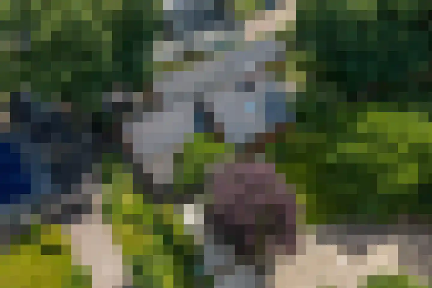 Ruitenkamp 5 Ter Apel thumbnail 93