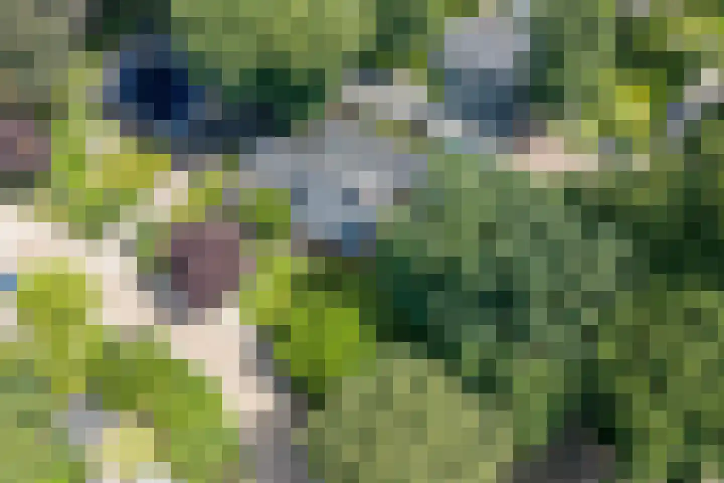 Ruitenkamp 5 Ter Apel thumbnail 94