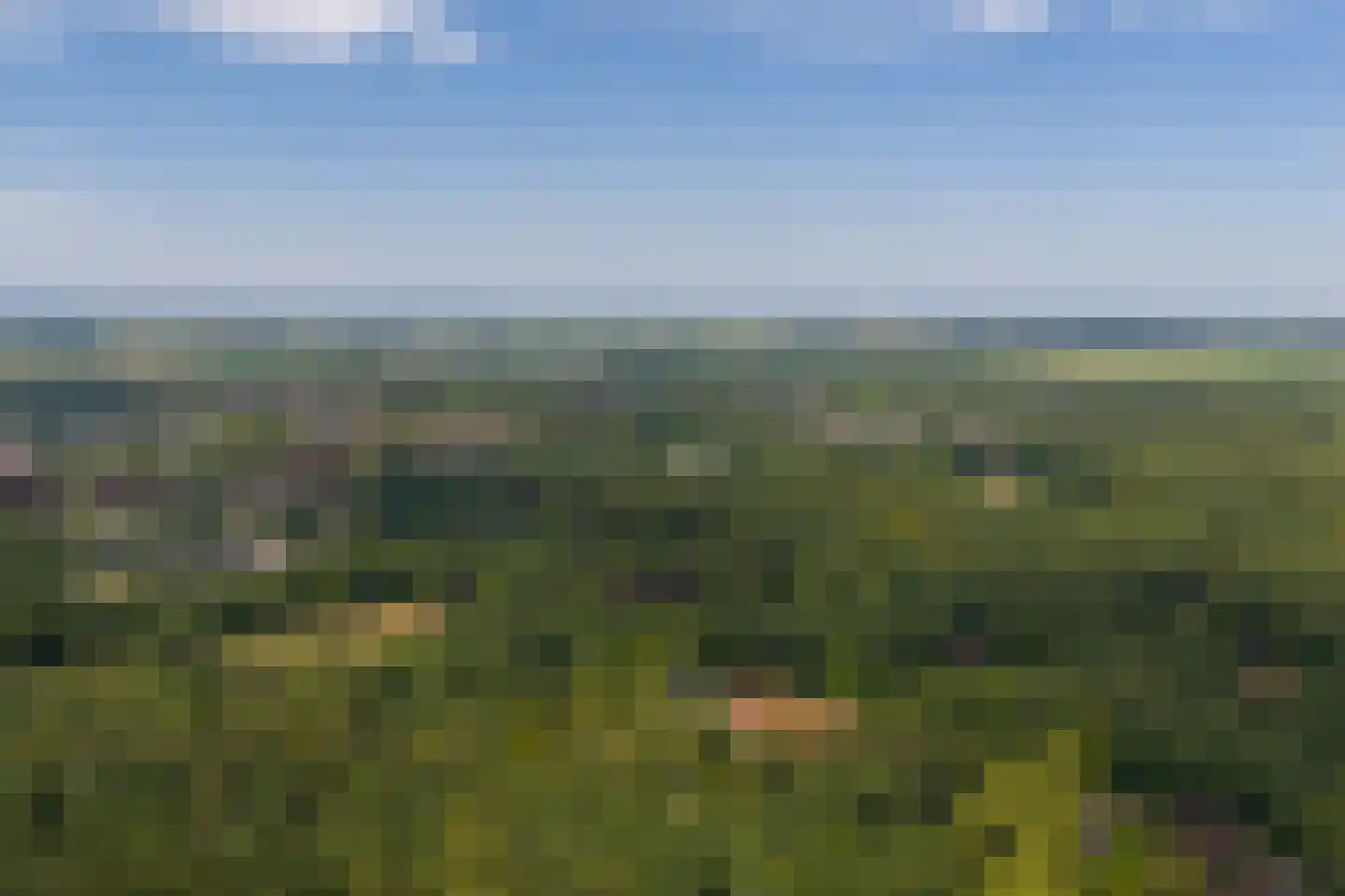 Ruitenkamp 5 Ter Apel thumbnail 95