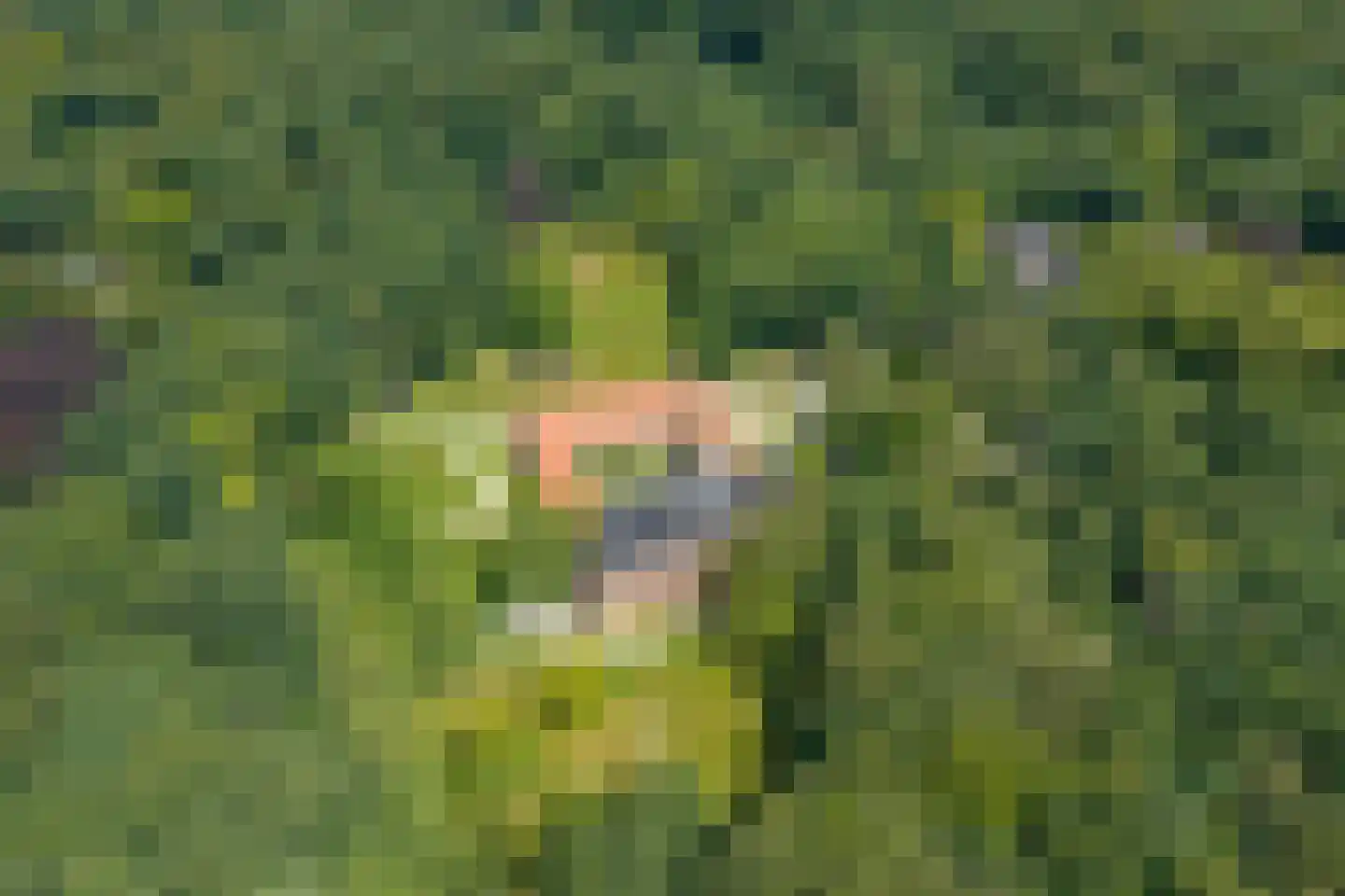 Ruitenkamp 5 Ter Apel thumbnail 96