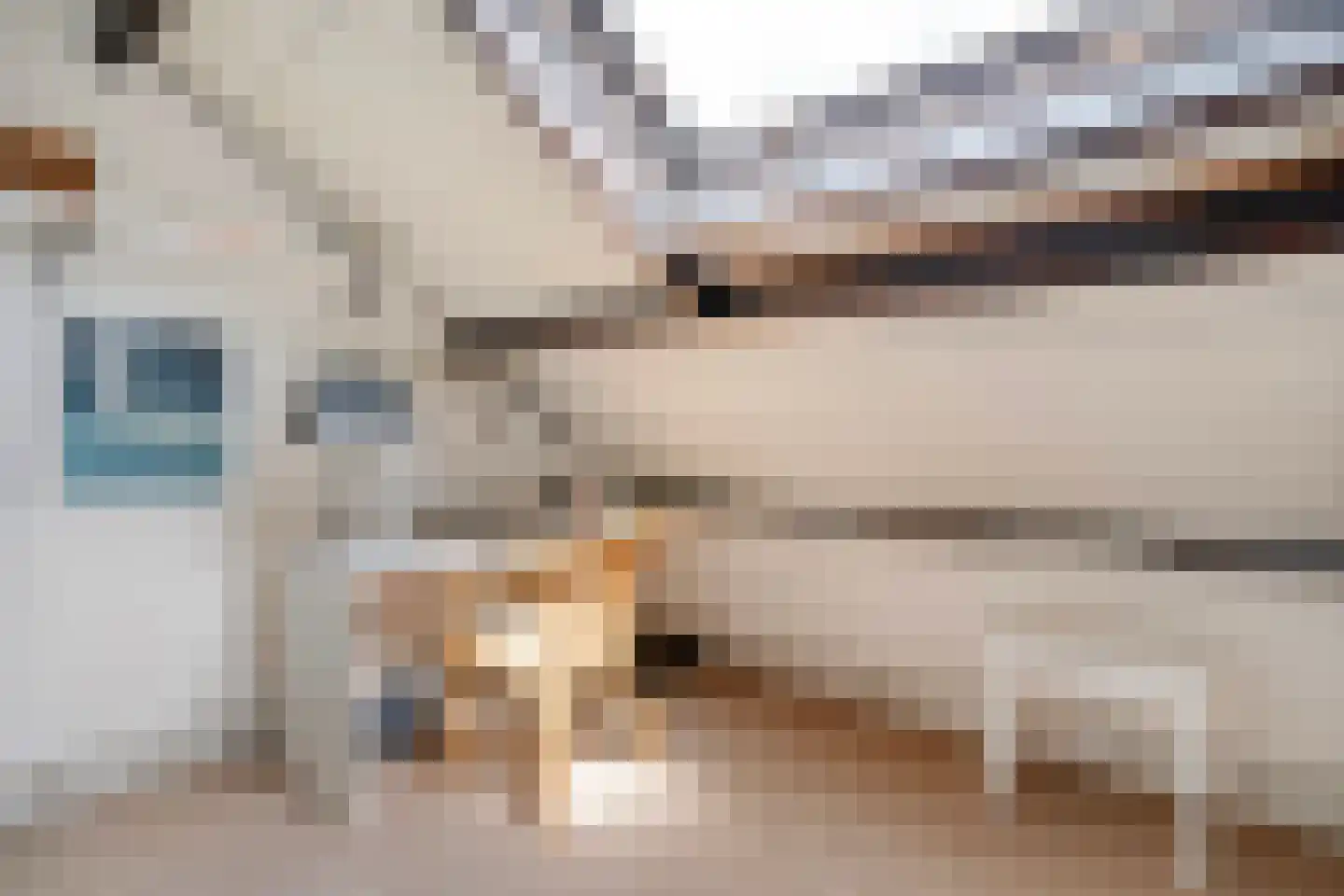 Ruitenstraat 53 Hasselt thumbnail 37