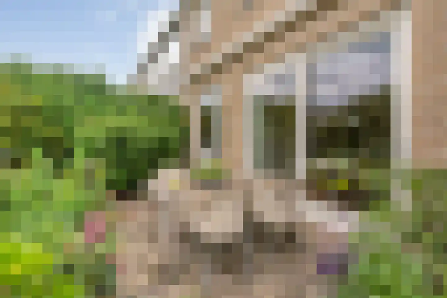 Ruitenstraat 53 Hasselt thumbnail 40