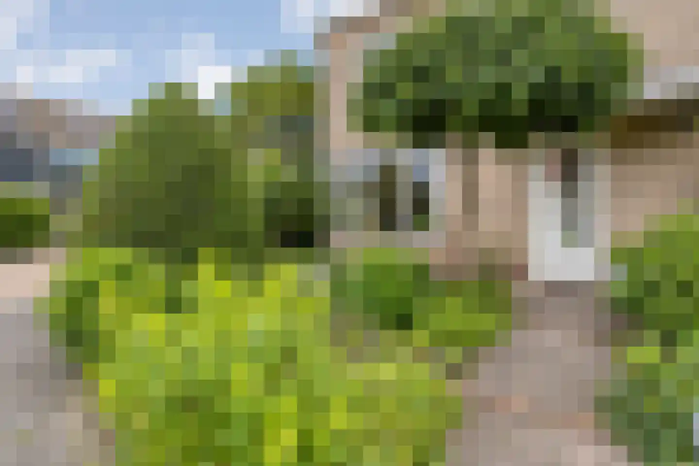 Ruitenstraat 53 Hasselt thumbnail 50