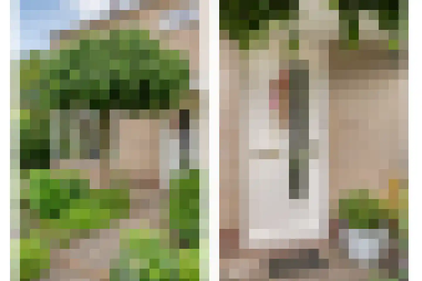 Ruitenstraat 53 Hasselt thumbnail 6