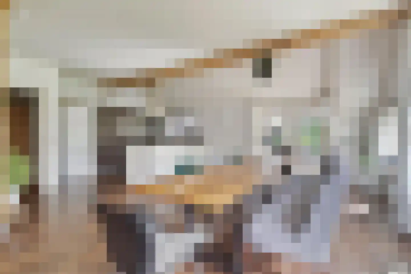 Ruitenveen 1 Nieuwleusen thumbnail 11