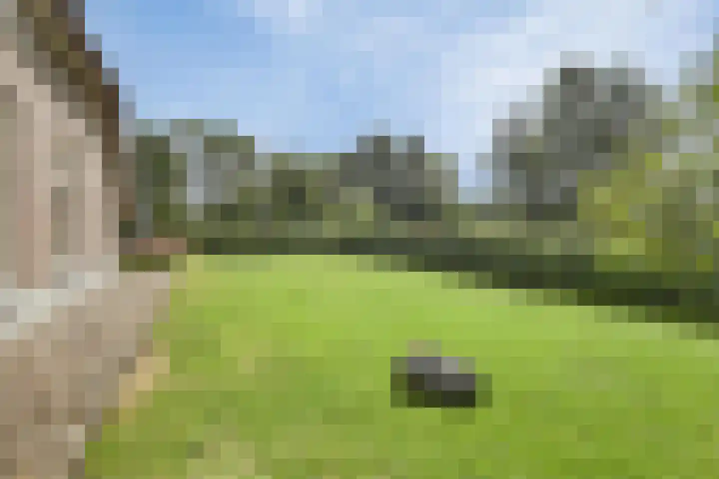 Ruitenveen 1 Nieuwleusen thumbnail 13