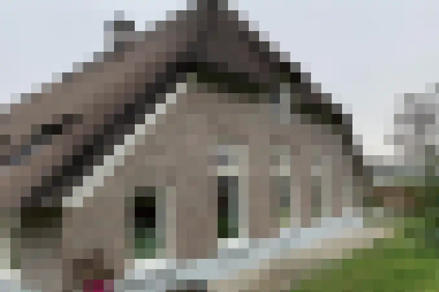 Ruitenveen 1 Nieuwleusen thumbnail 14