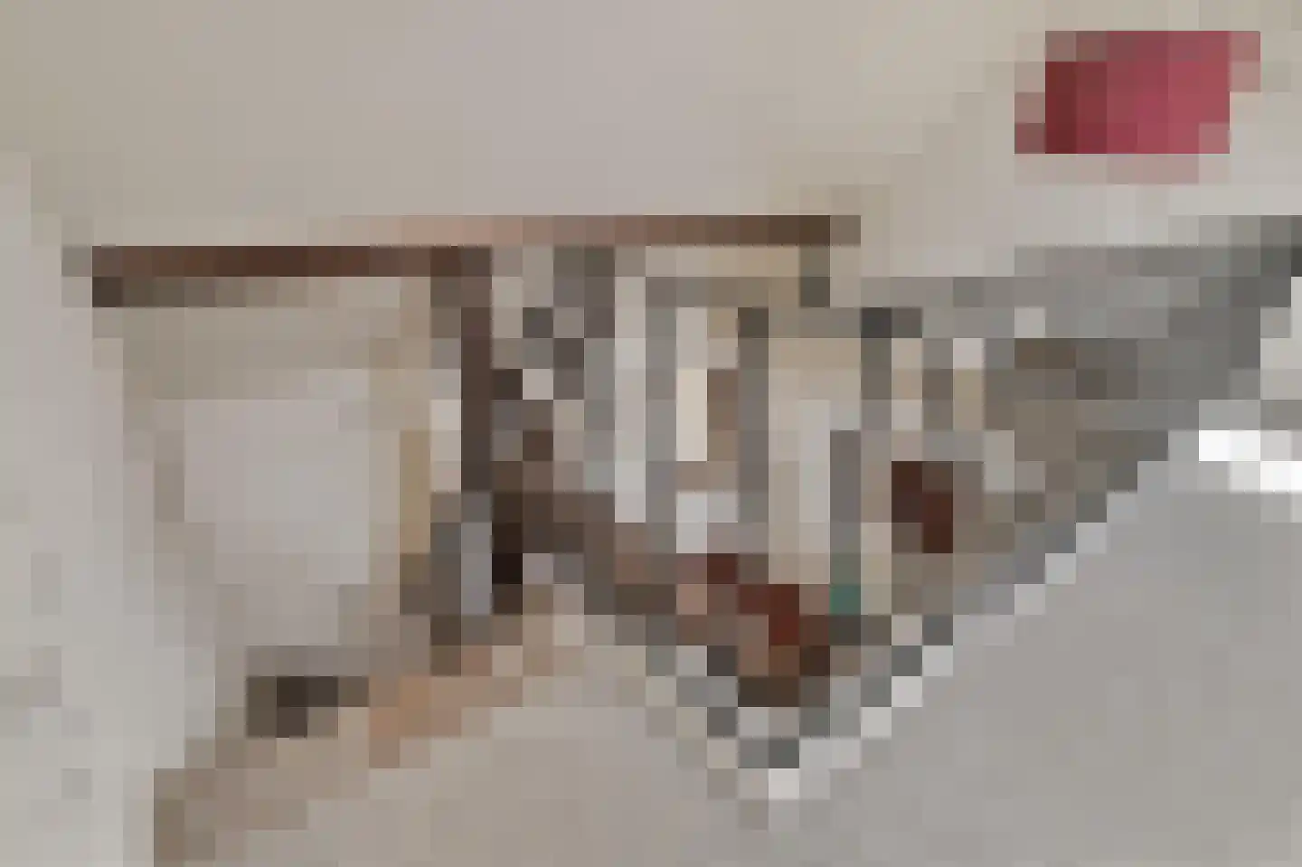 Ruitenveen 1 Nieuwleusen thumbnail 15
