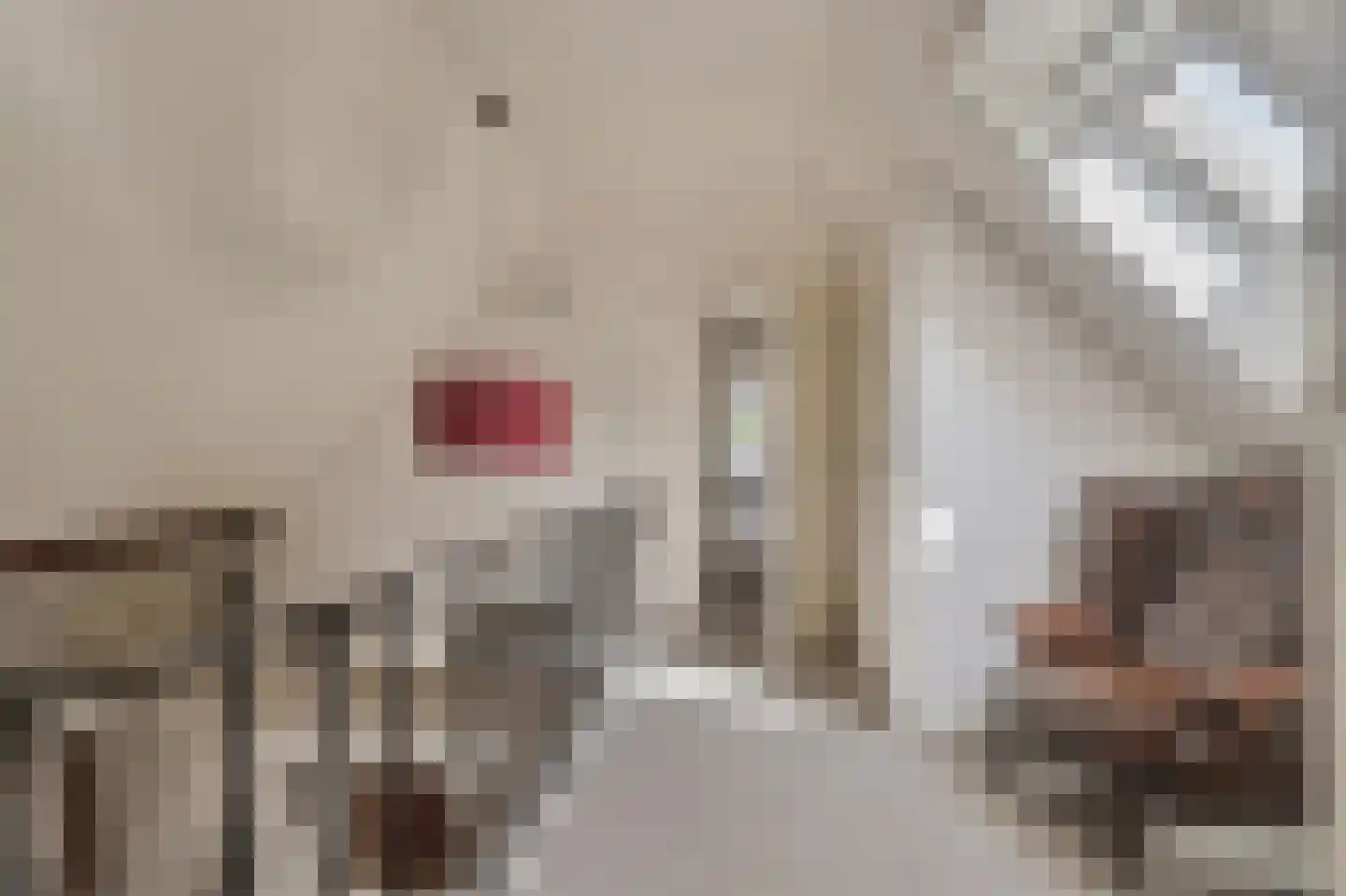 Ruitenveen 1 Nieuwleusen thumbnail 17