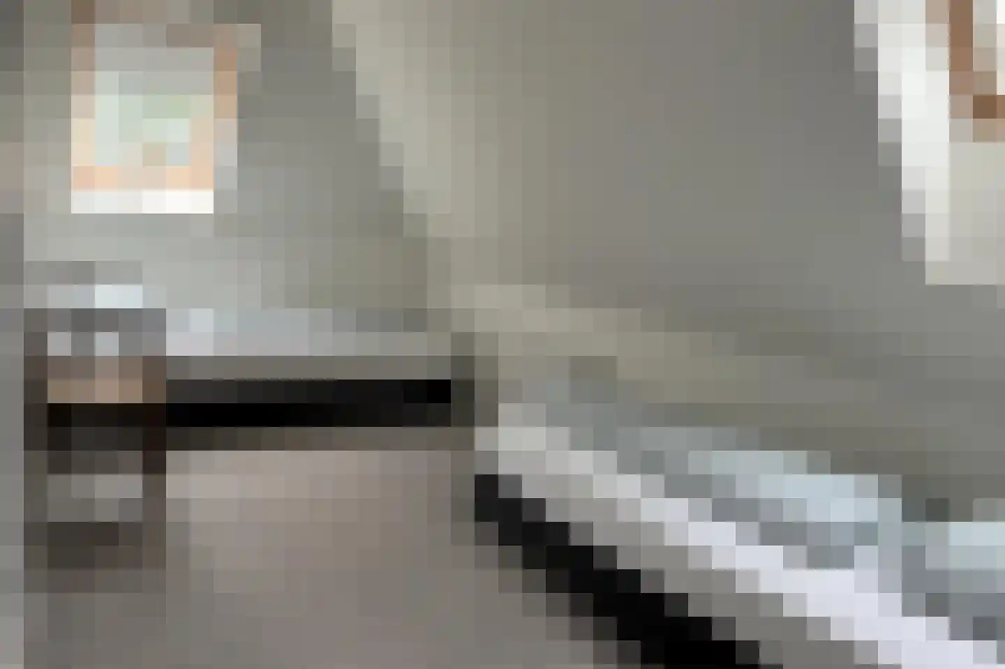Ruitenveen 1 Nieuwleusen thumbnail 18