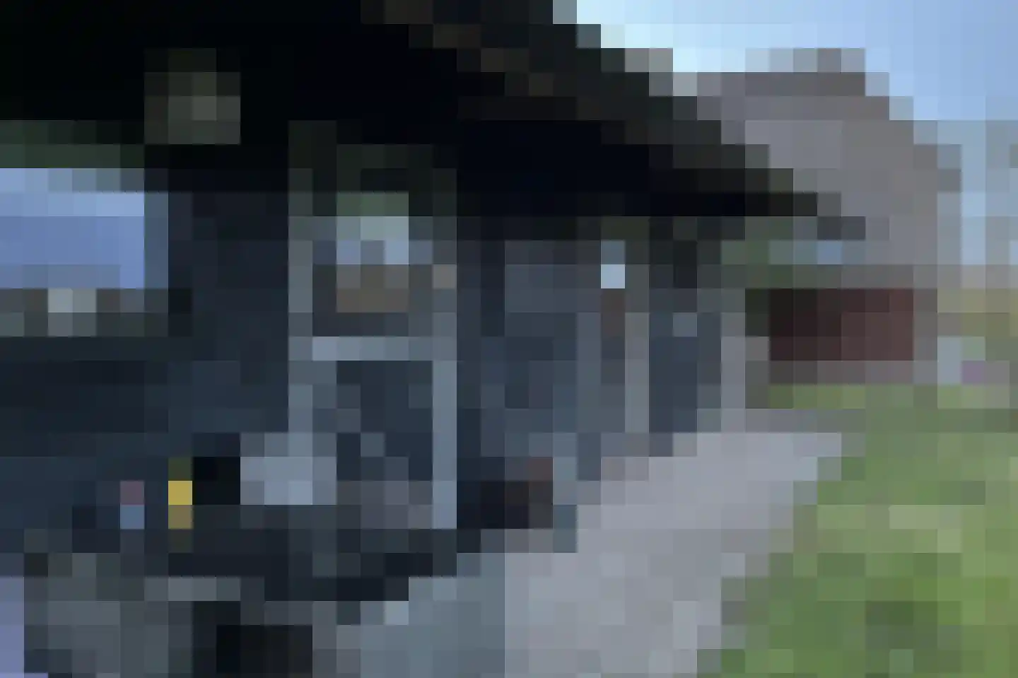 Ruitenveen 1 Nieuwleusen thumbnail 24