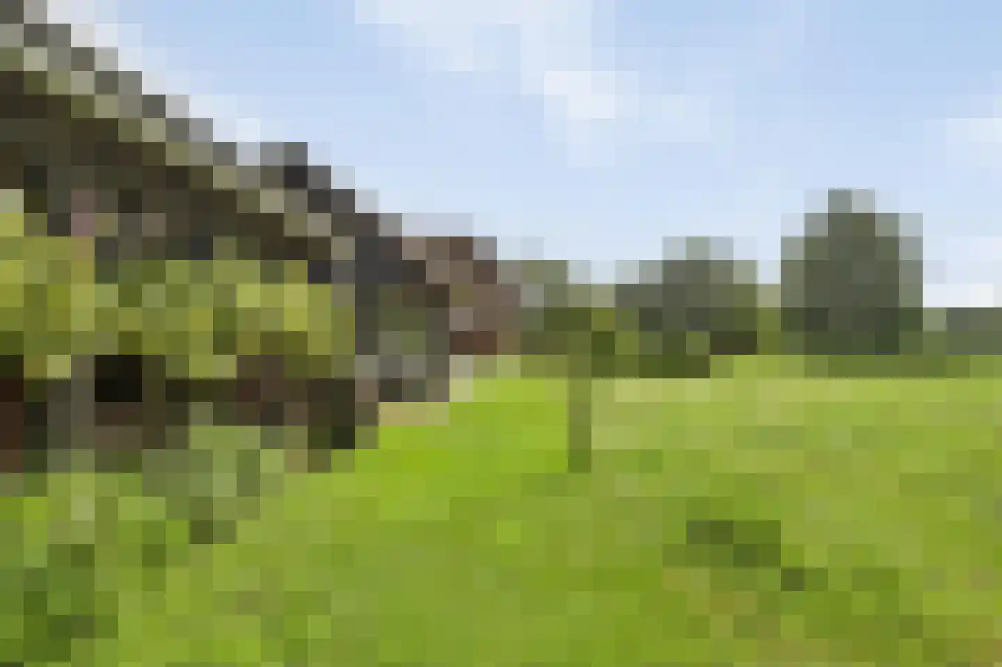Ruitenveen 1 Nieuwleusen thumbnail 26