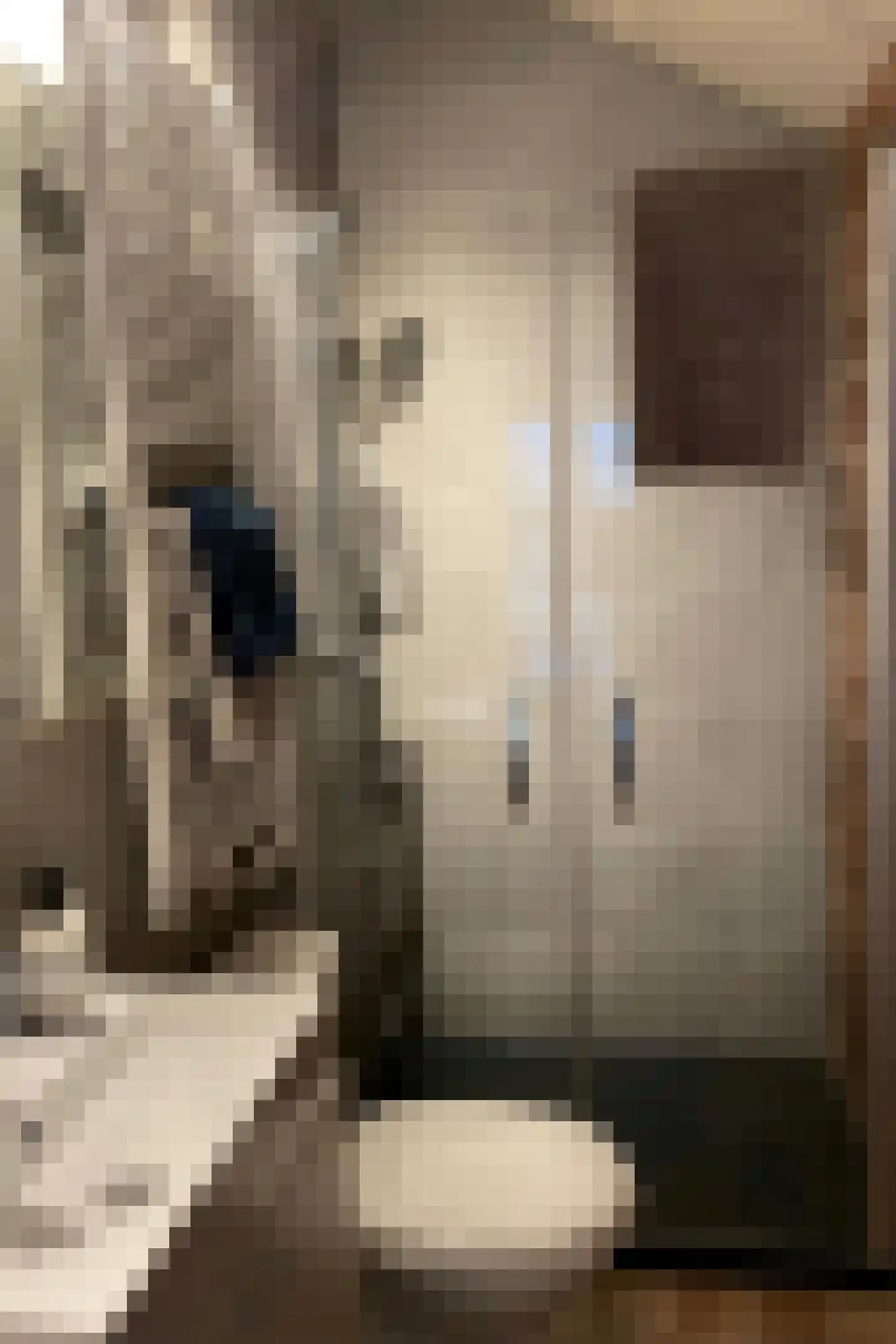 Ruitenveen 1 Nieuwleusen thumbnail 30