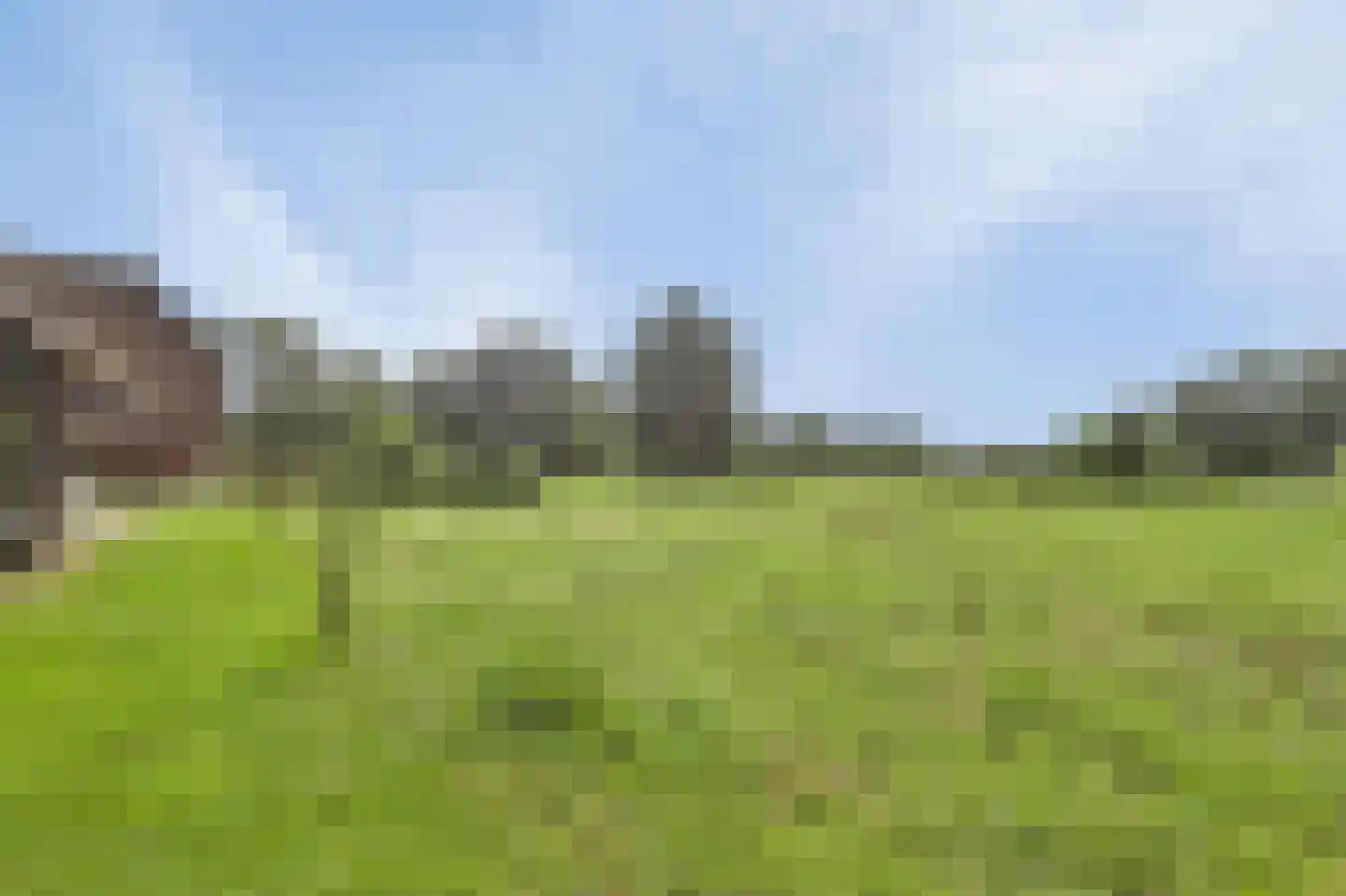 Ruitenveen 1 Nieuwleusen thumbnail 31