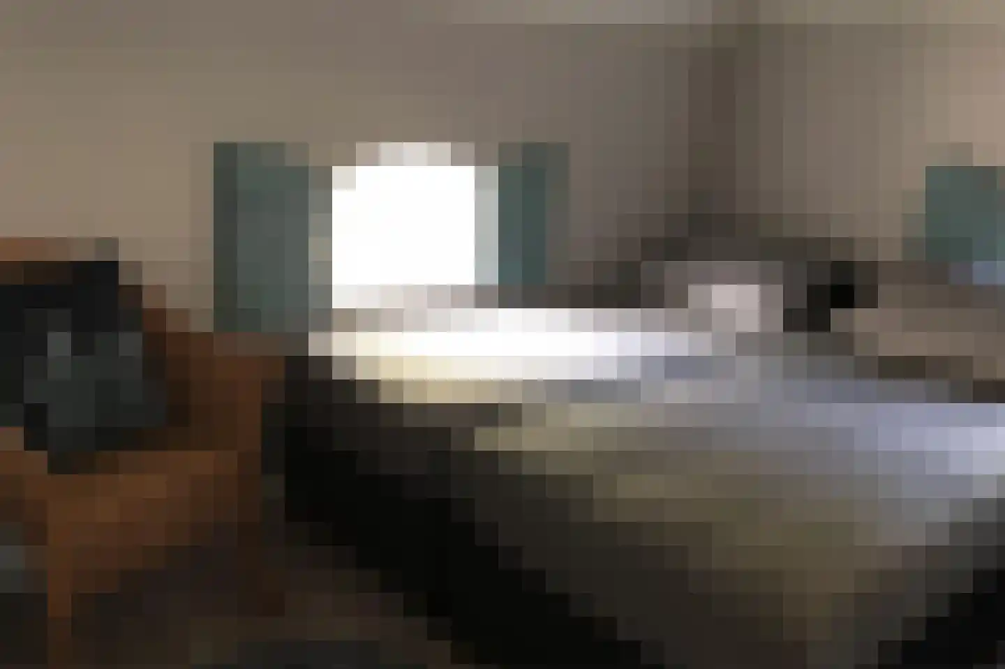 Ruitenveen 1 Nieuwleusen thumbnail 34