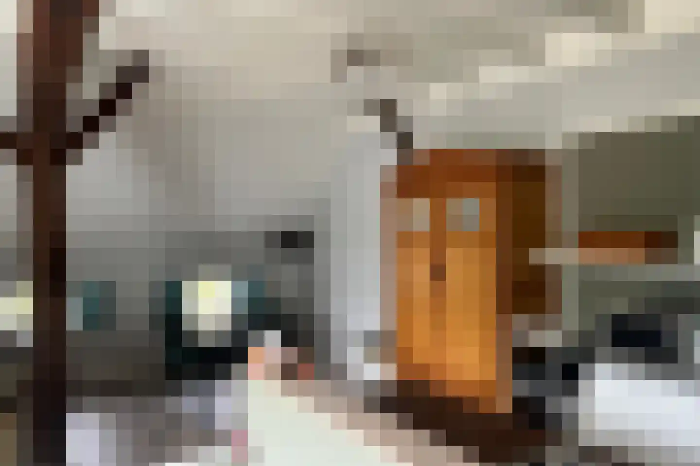 Ruitenveen 1 Nieuwleusen thumbnail 39