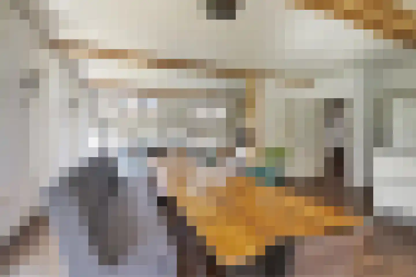 Ruitenveen 1 Nieuwleusen thumbnail 4