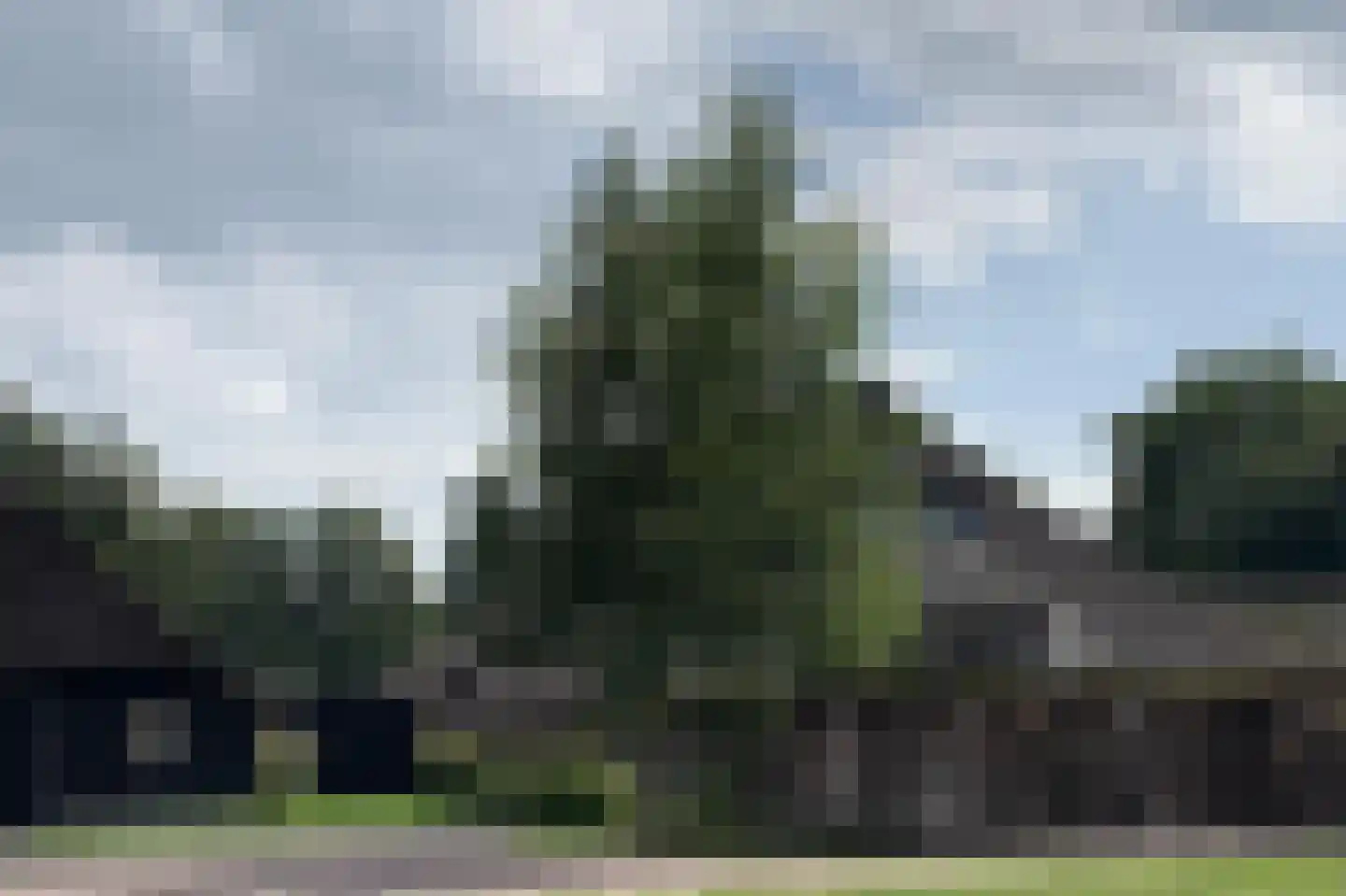 Ruitenveen 1 Nieuwleusen thumbnail 40