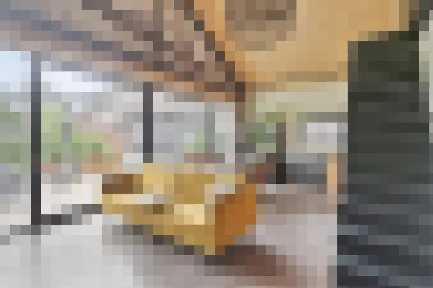 Ruitenveen 1 Nieuwleusen thumbnail 42