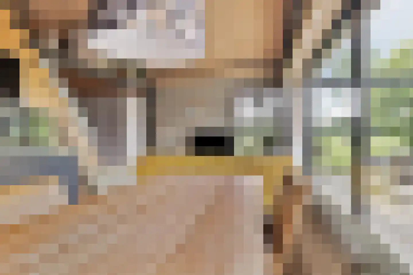 Ruitenveen 1 Nieuwleusen thumbnail 43