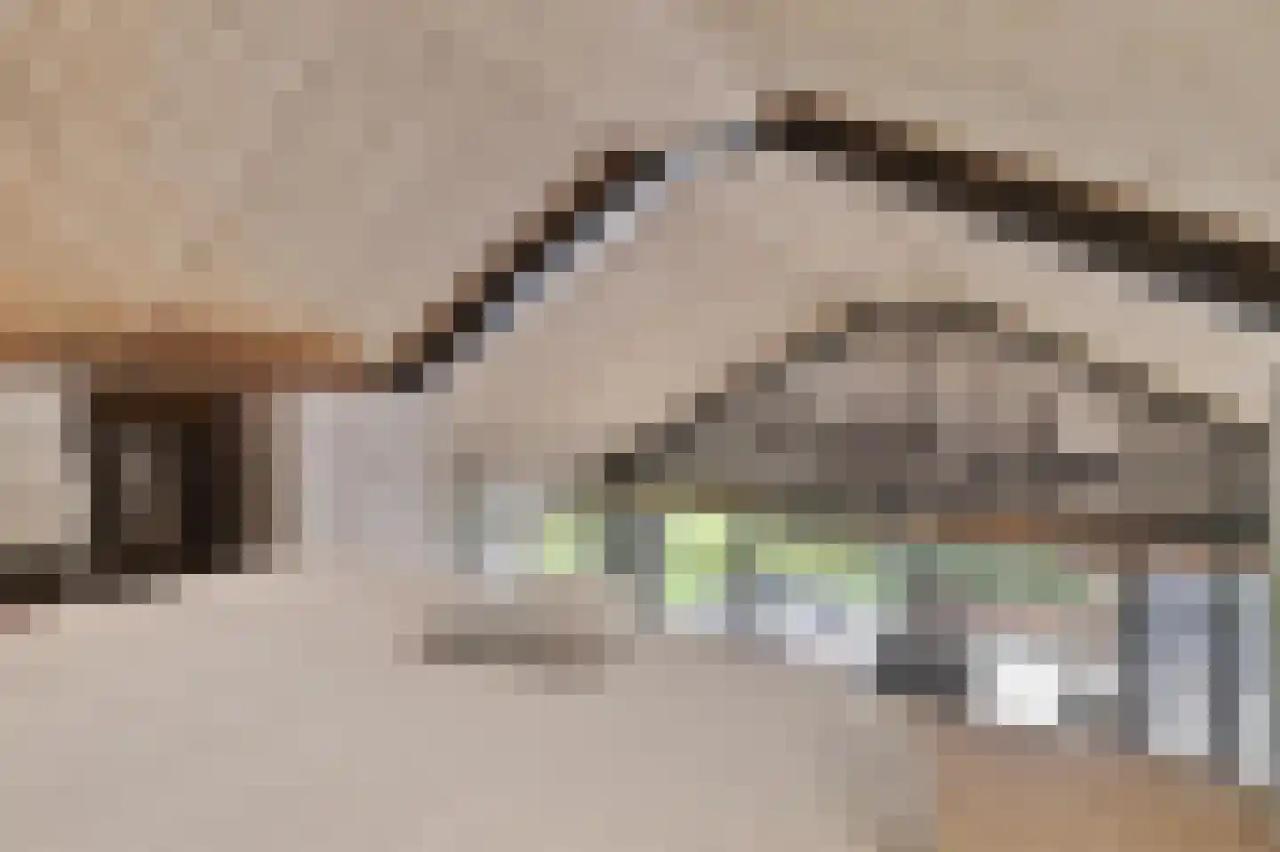 Ruitenveen 1 Nieuwleusen thumbnail 45