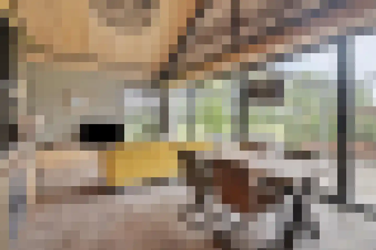 Ruitenveen 1 Nieuwleusen thumbnail 46