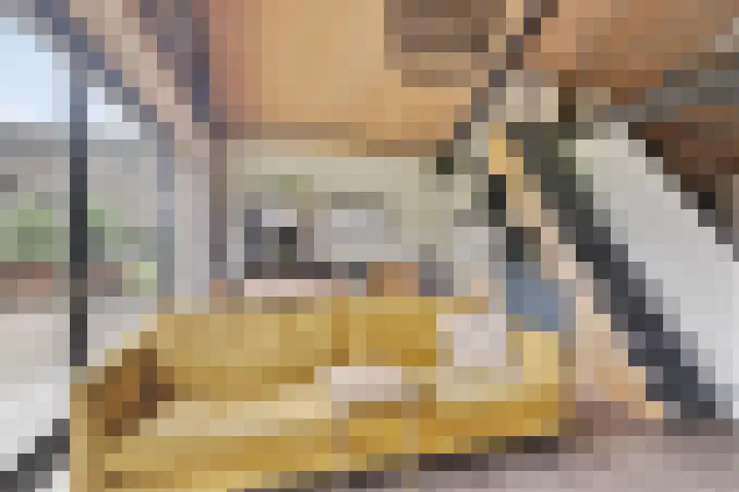Ruitenveen 1 Nieuwleusen thumbnail 49