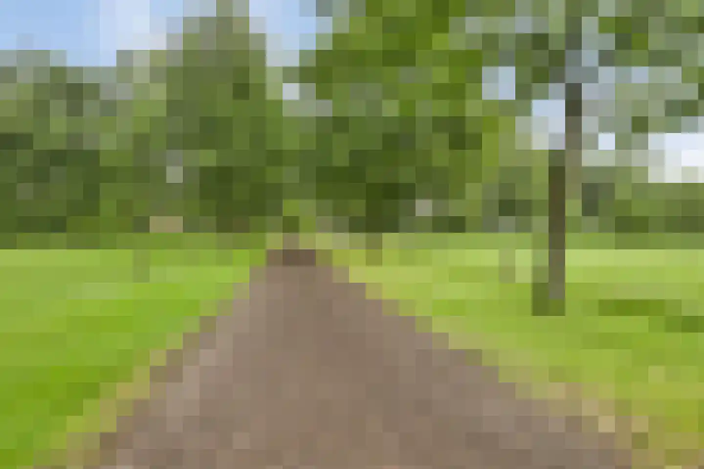 Ruitenveen 1 Nieuwleusen thumbnail 51