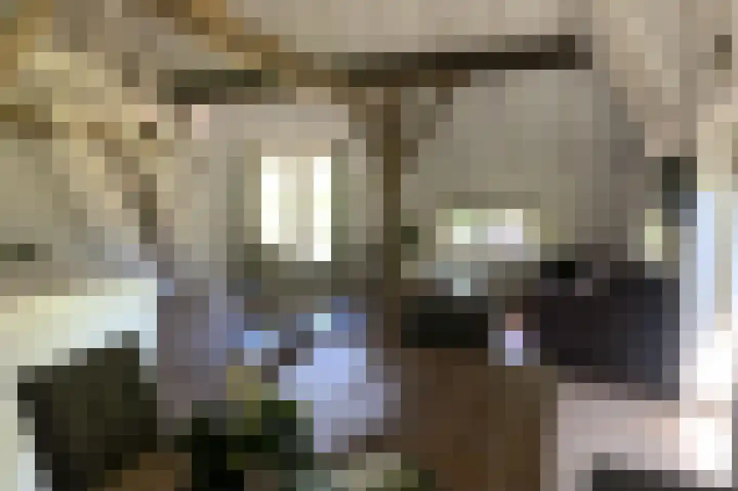 Ruitenveen 1 Nieuwleusen thumbnail 55