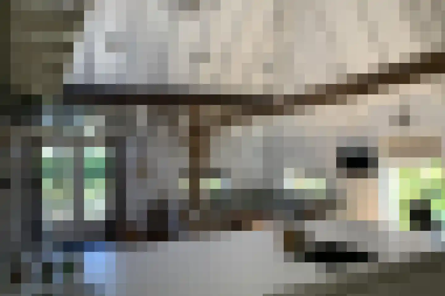 Ruitenveen 1 Nieuwleusen thumbnail 57