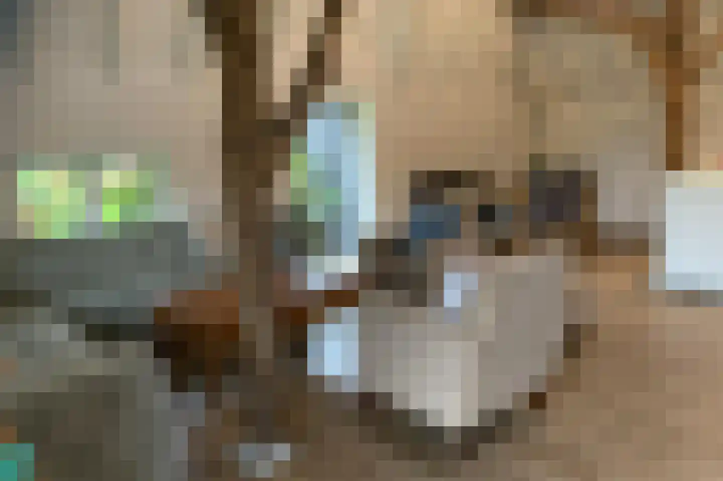 Ruitenveen 1 Nieuwleusen thumbnail 61
