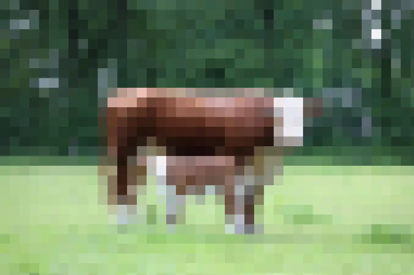 Ruitenveen 1 Nieuwleusen thumbnail 62