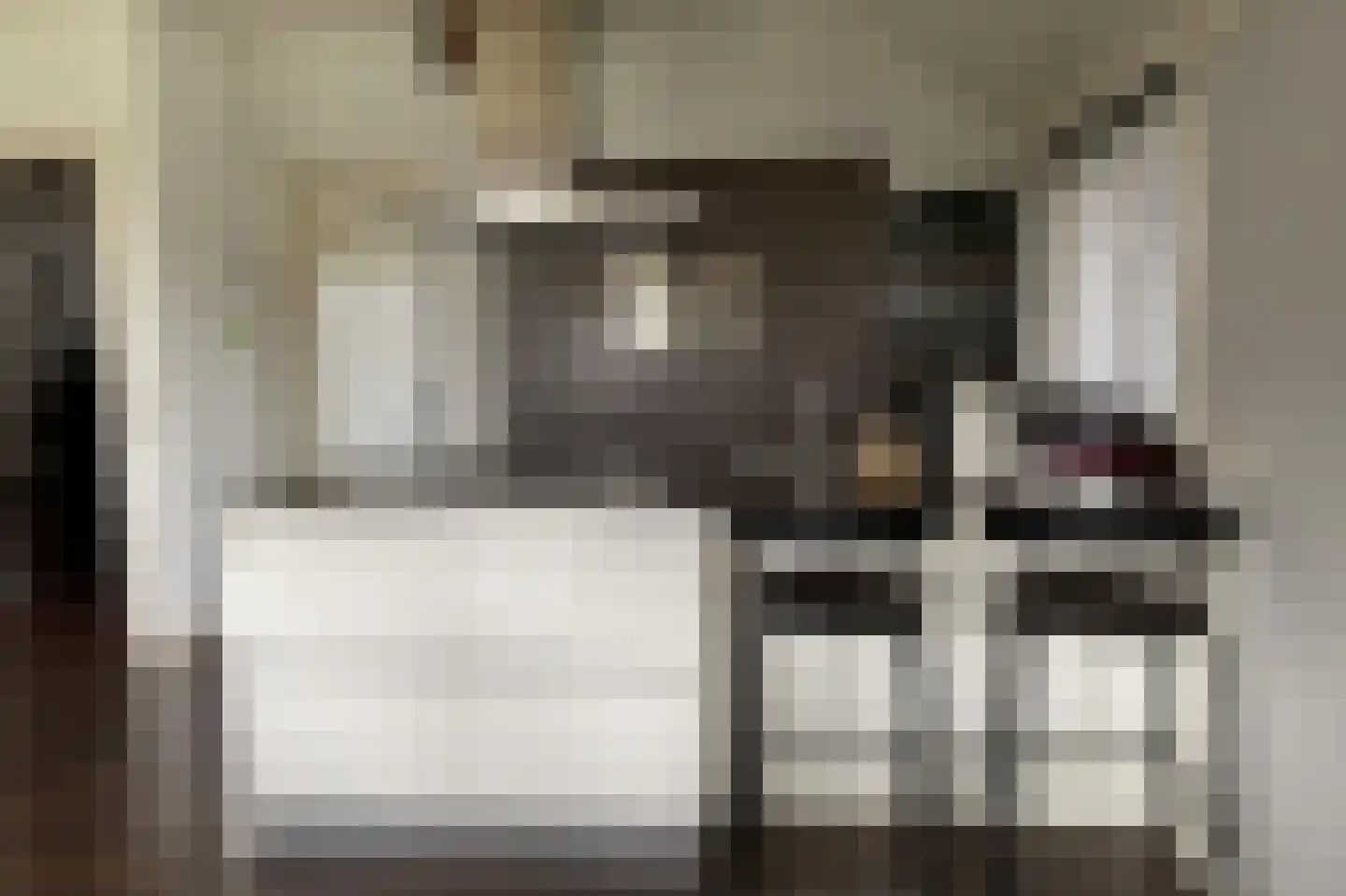 Ruitenveen 1 Nieuwleusen thumbnail 7