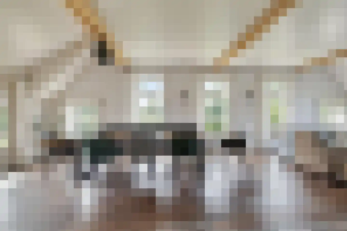 Ruitenveen 1 Nieuwleusen thumbnail 8
