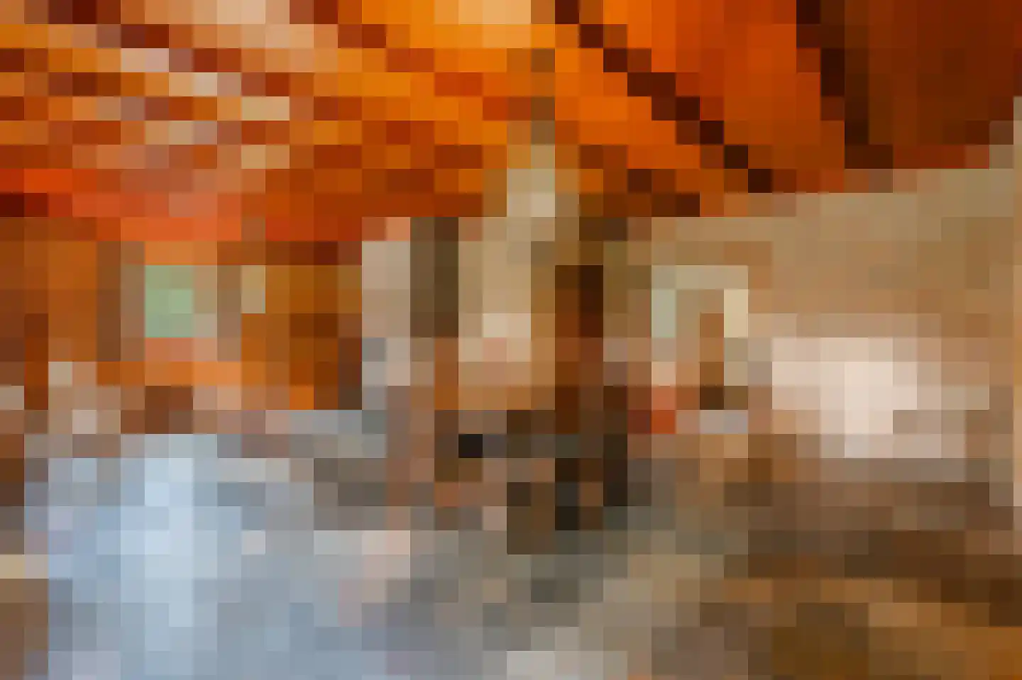 Ruitenveen 10 Nieuwleusen thumbnail 10