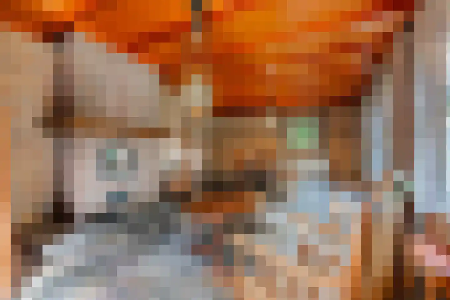 Ruitenveen 10 Nieuwleusen thumbnail 12