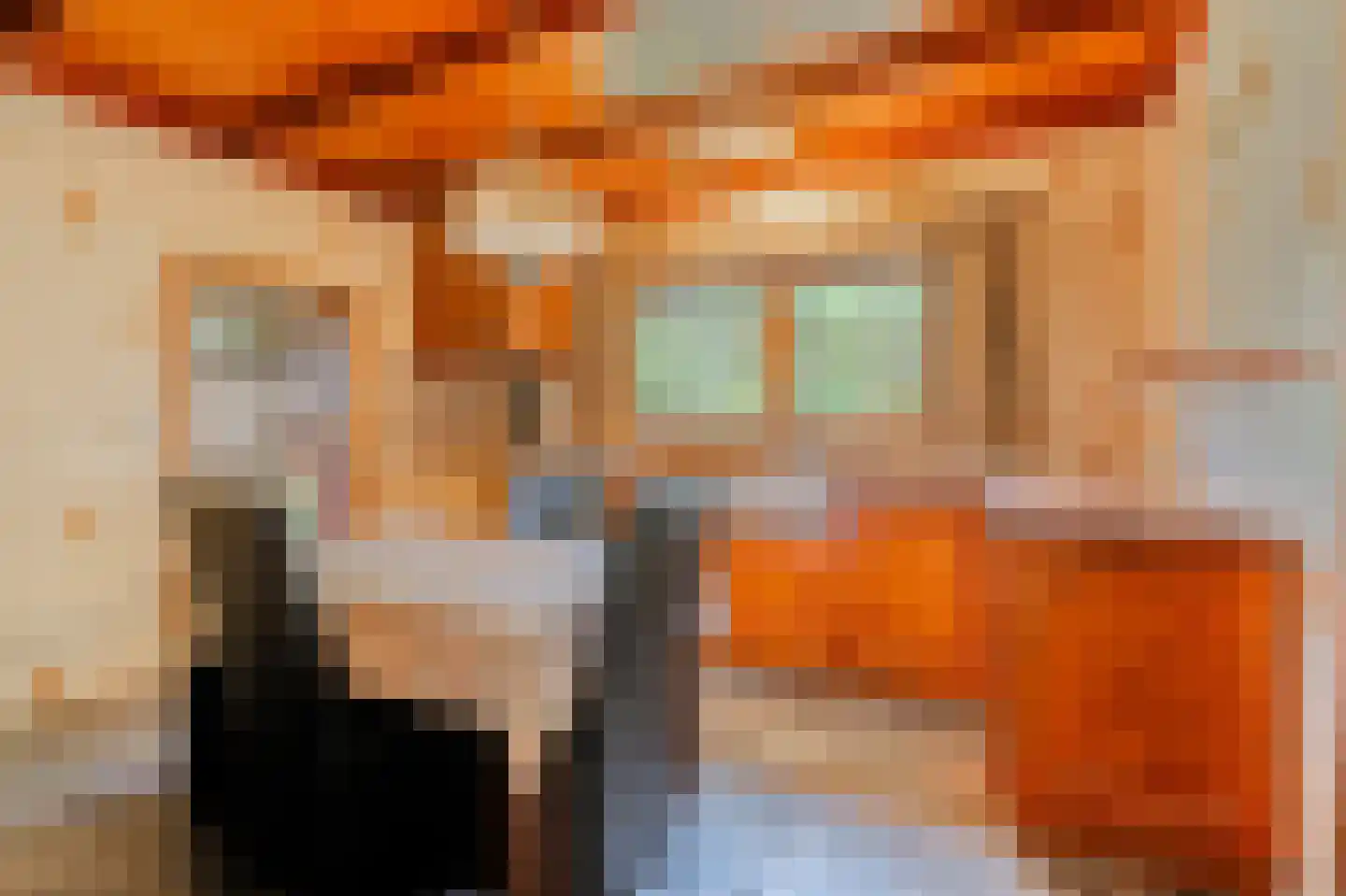 Ruitenveen 10 Nieuwleusen thumbnail 13