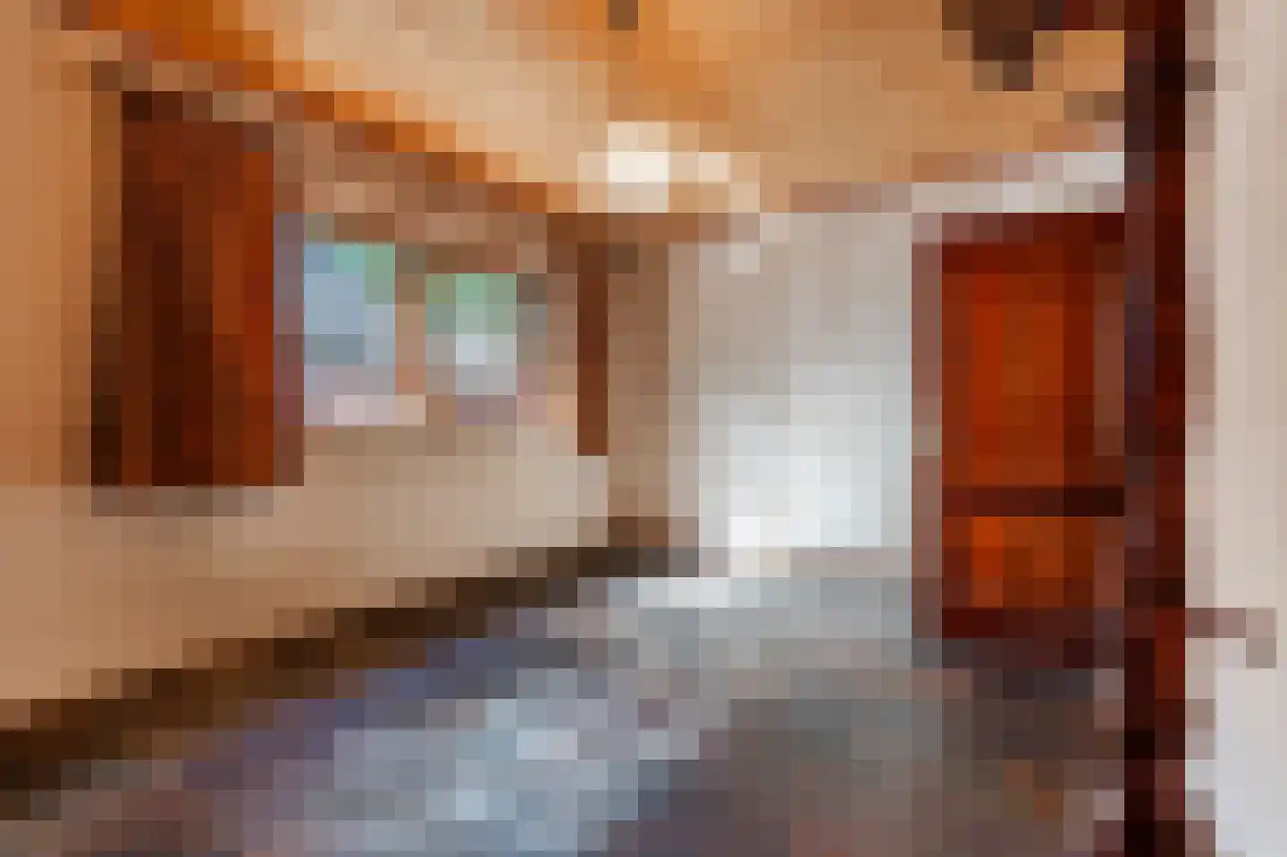 Ruitenveen 10 Nieuwleusen thumbnail 18