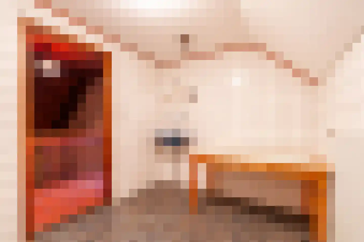Ruitenveen 10 Nieuwleusen thumbnail 25