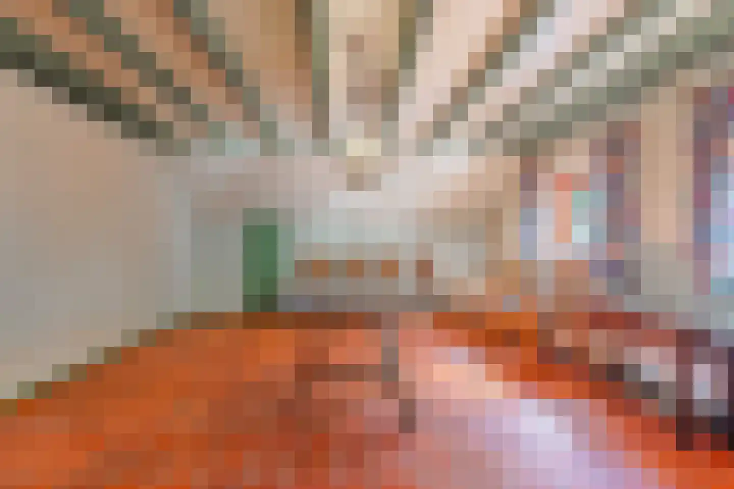 Ruitenveen 10 Nieuwleusen thumbnail 29