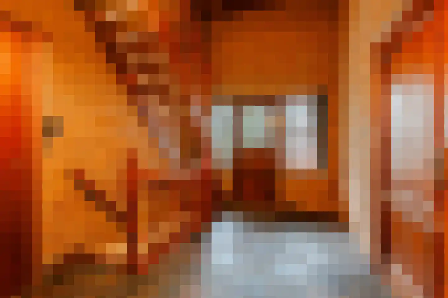 Ruitenveen 10 Nieuwleusen thumbnail 31
