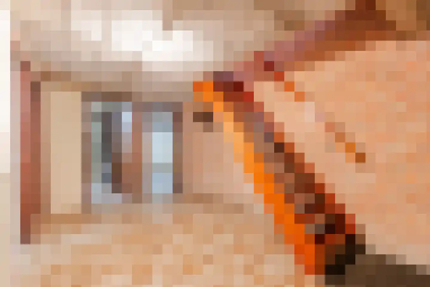 Ruitenveen 10 Nieuwleusen thumbnail 32