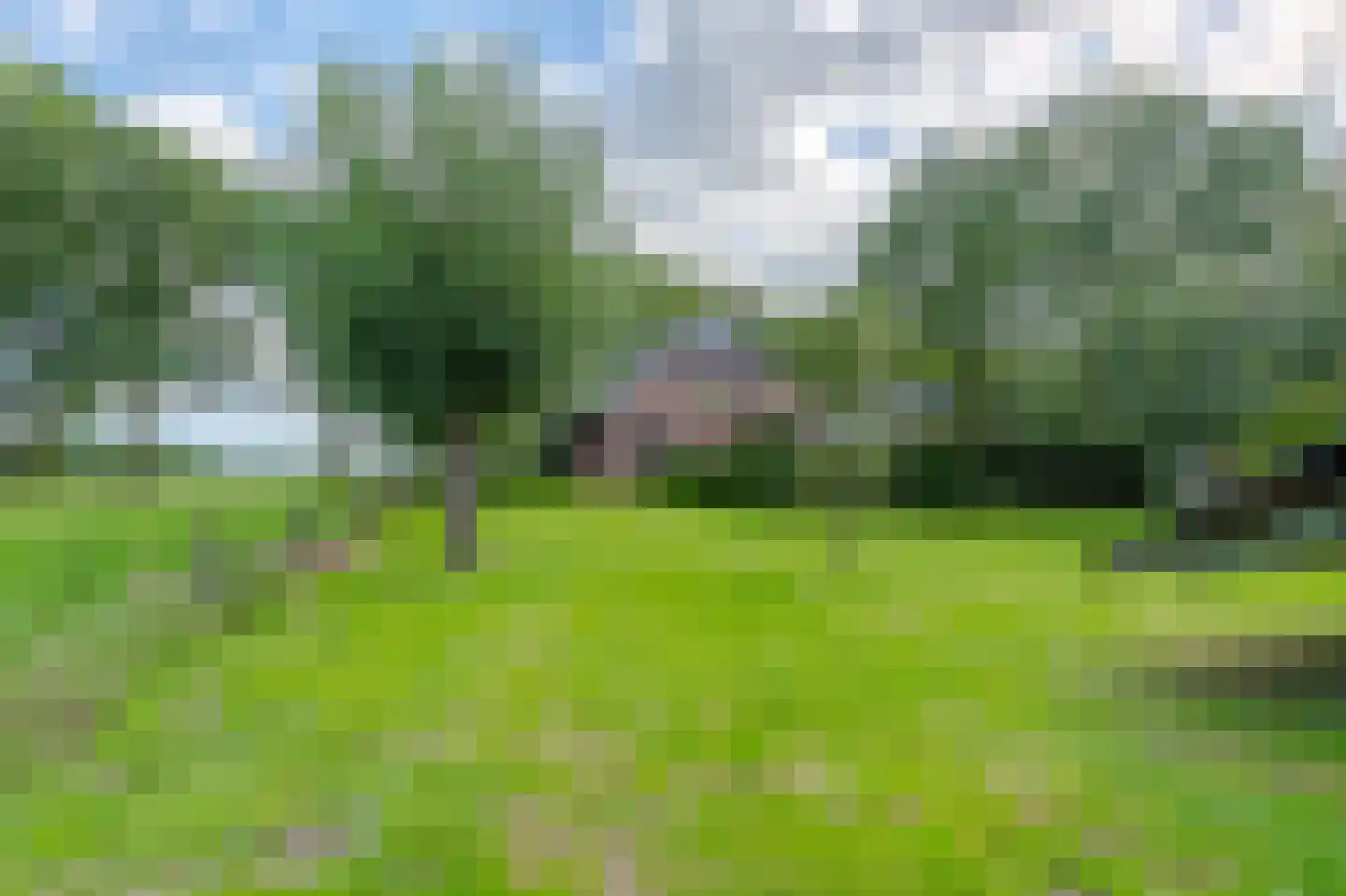 Ruitenveen 10 Nieuwleusen thumbnail 42