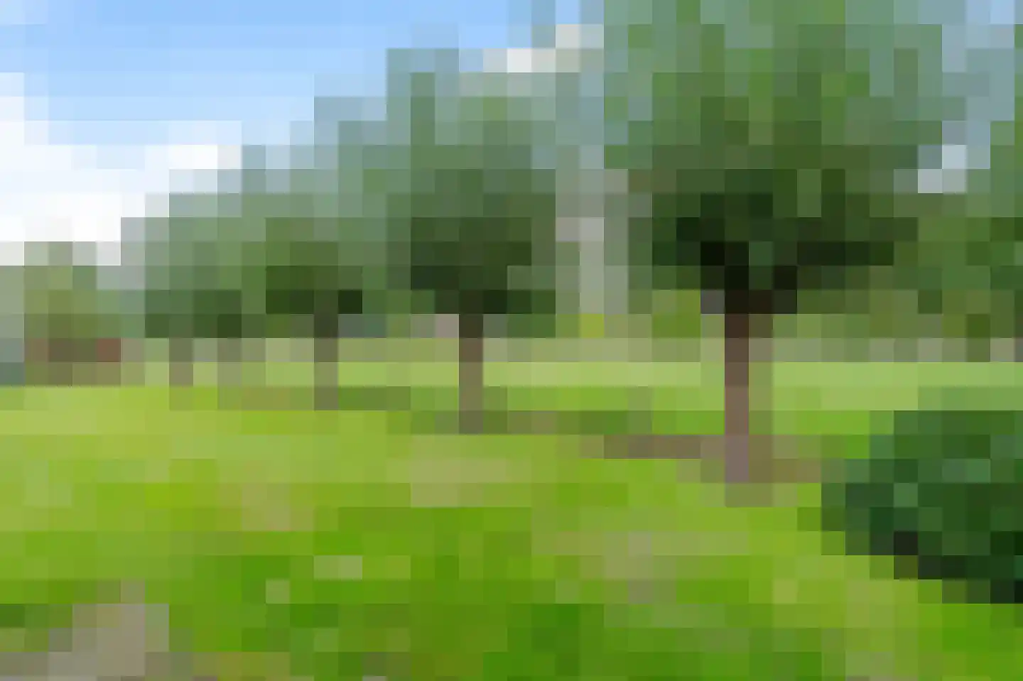 Ruitenveen 10 Nieuwleusen thumbnail 45